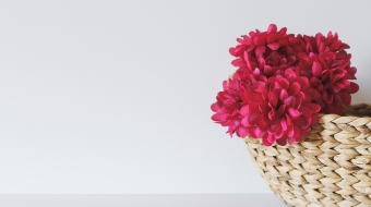 ina-soulis-227104-unsplashtt6-min